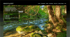 Desktop Screenshot of benoitaudet.com